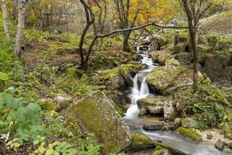 평창 가볼만한곳 베스트 10