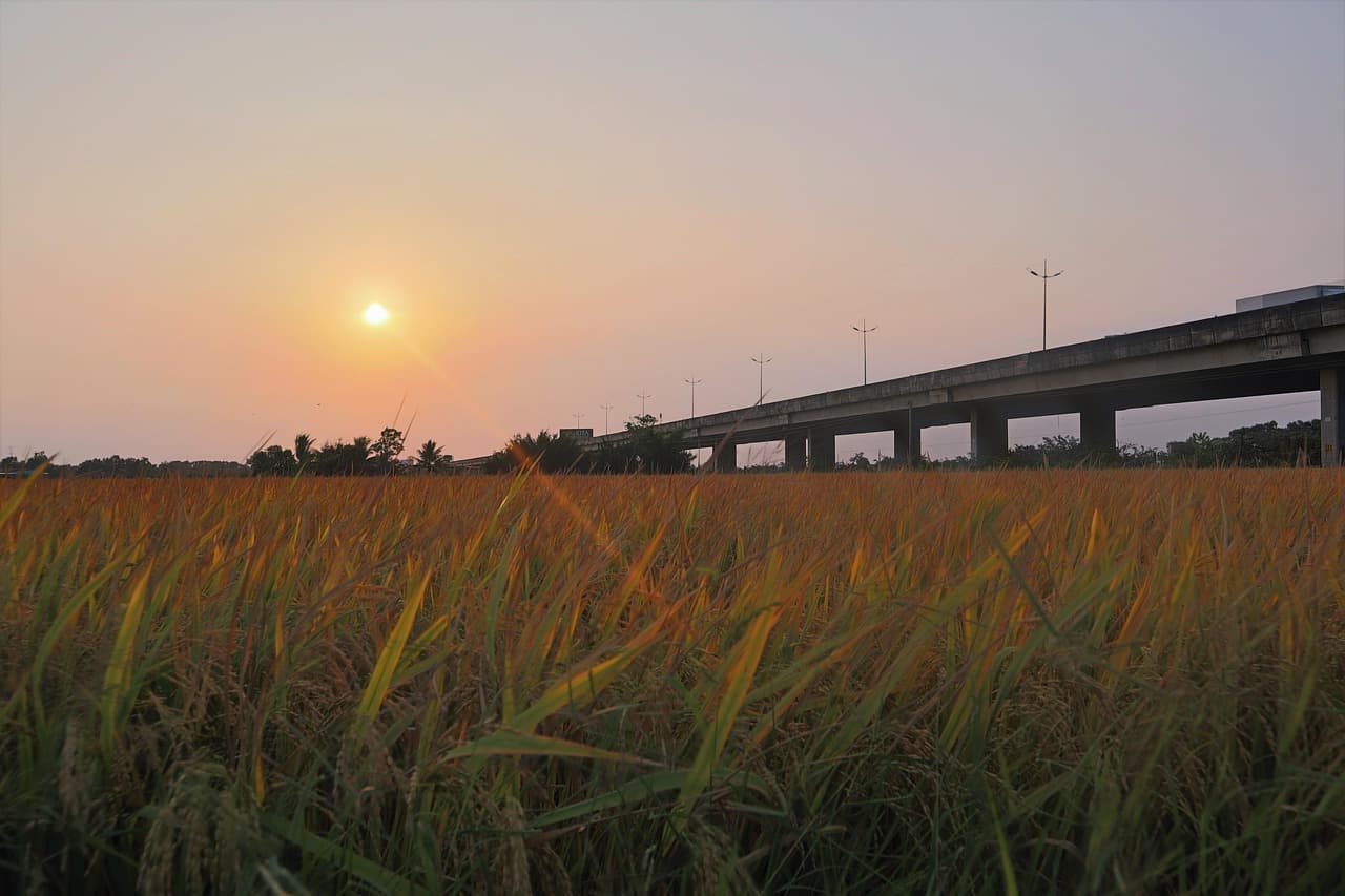 고향사랑기부제 연말정산 혜택 답례품 추천