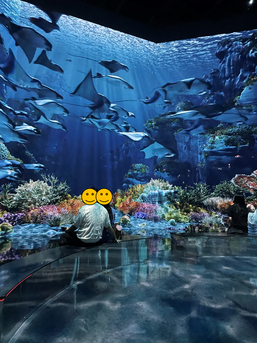 파주 뮤지엄헤이