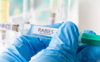 광견병 관련 이미지/출처:어도비스톡
