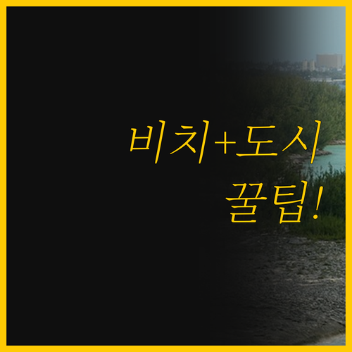 자연 속 프라이빗 비치와 모던한 도시..