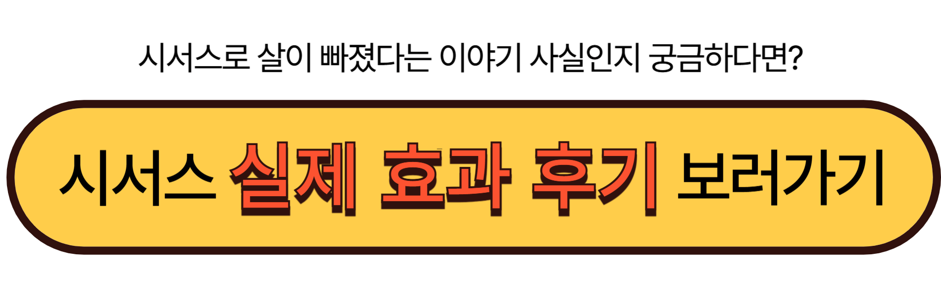 시서스 효과 후기