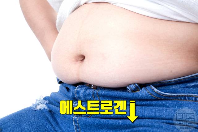 나잇살 찌는 이유 나이살 얼굴 뱃살 팔뚝살