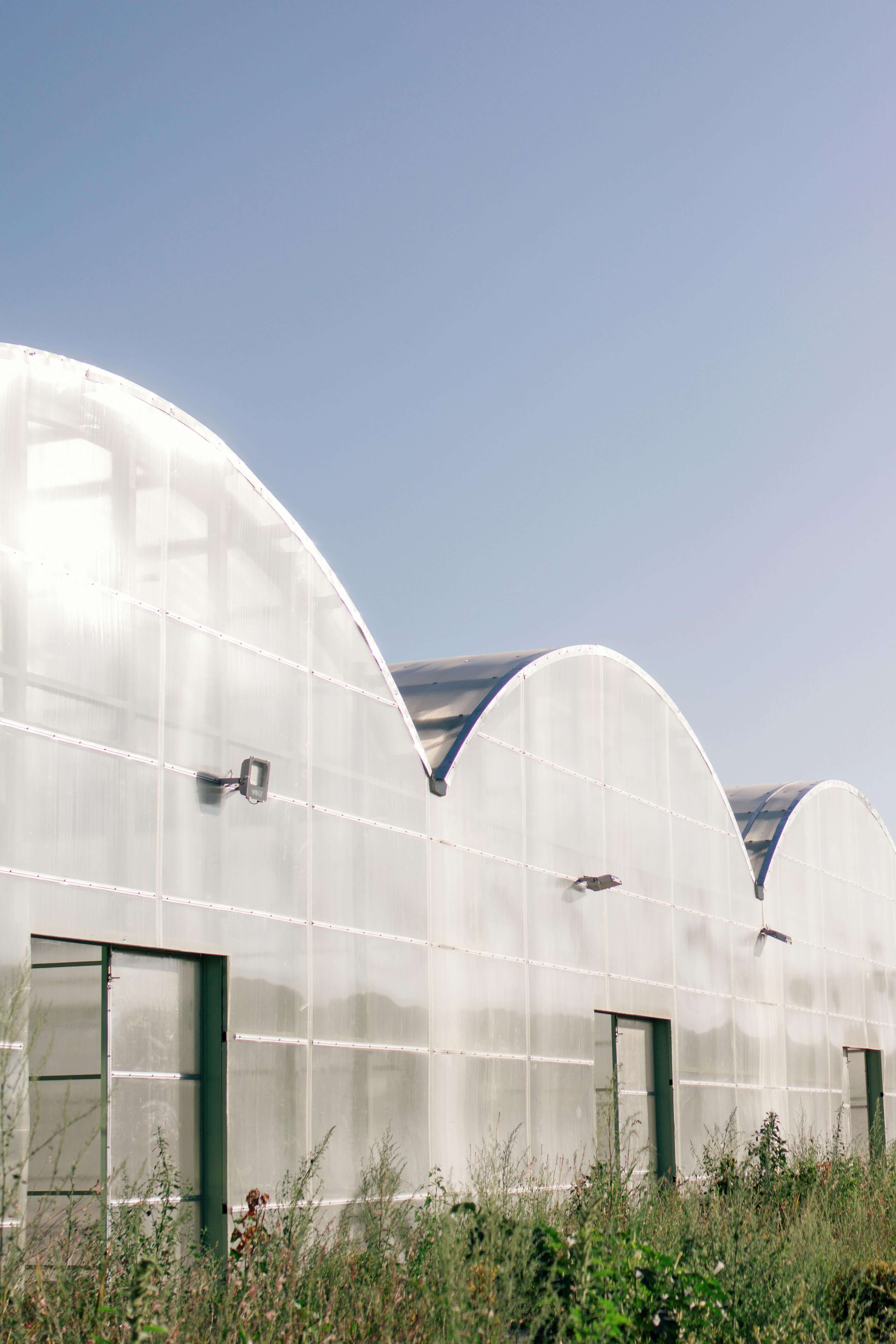 채식 기술(Plant-based Tech)의 혁신