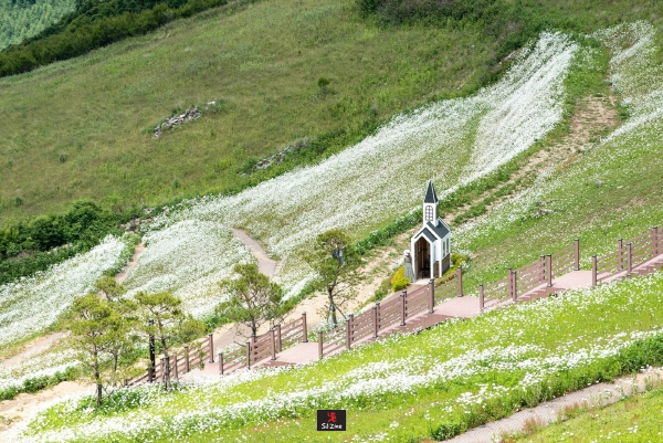 평창 가볼만한곳