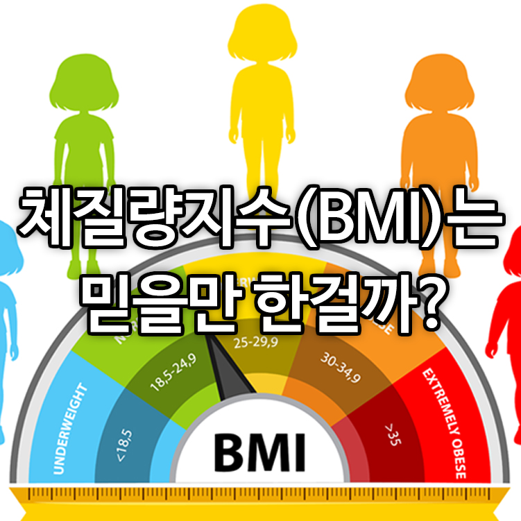 체질량지수(BMI)는 믿을만 한걸까?