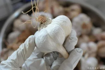 통마늘 지퍼백 보관 효과 오래 보관하는 방법_14