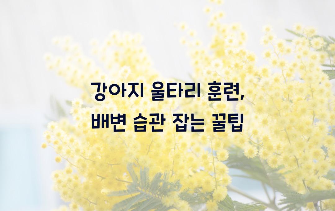 강아지 울타리 훈련: 배변 습관 효과적으로 잡는 법