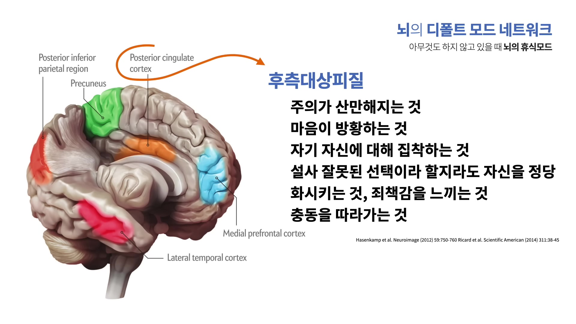 뇌의 디폴트 모드 네트워크