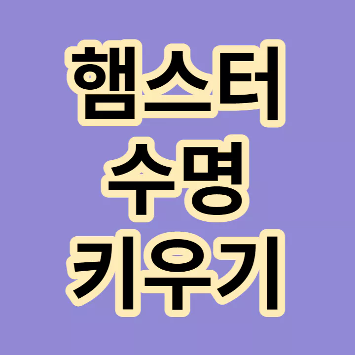 햄스터-수명-키우기-썸네일
