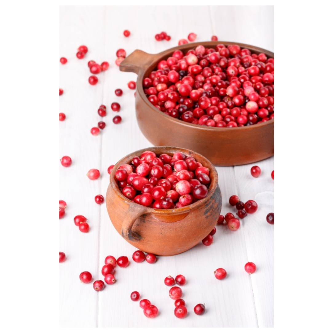 오미자와 관련된 사진입니다.