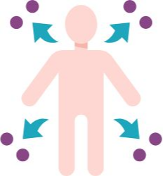 체내 독소 배출하는 참외