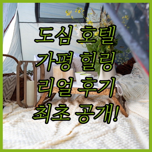 서울 도심 비즈니스 호텔 및 가평 힐..