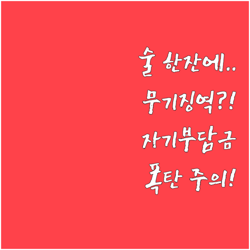 음주운전 사고 시 처벌 수위 및 자기..