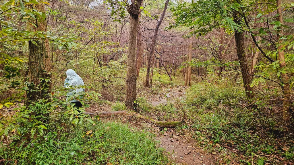 엄광산 맨발숲길에서 하산하면서