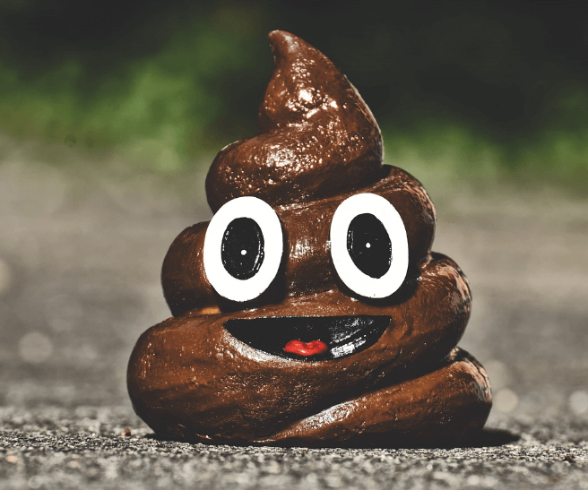 똥 먹는 꿈 해몽