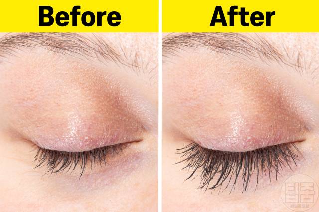 속눈썹 길어지는 음식 속눈썹연장