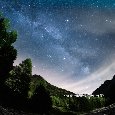 나의 별자리로 알아보는 사자자리 성격