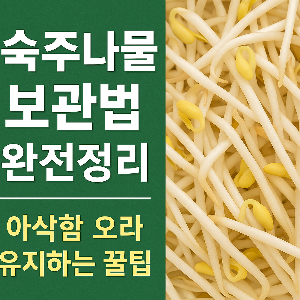 숙주나물 오래 보관하는 법 &ndash; 신선함 유지 꿀팁 완전정리