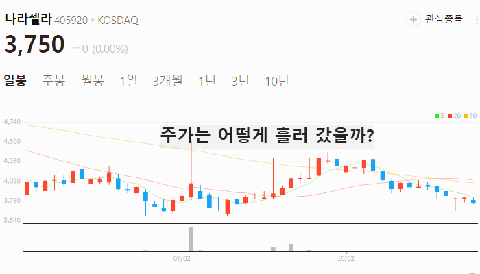 주류 관련주 대장주 테마주 수혜주 TOP5