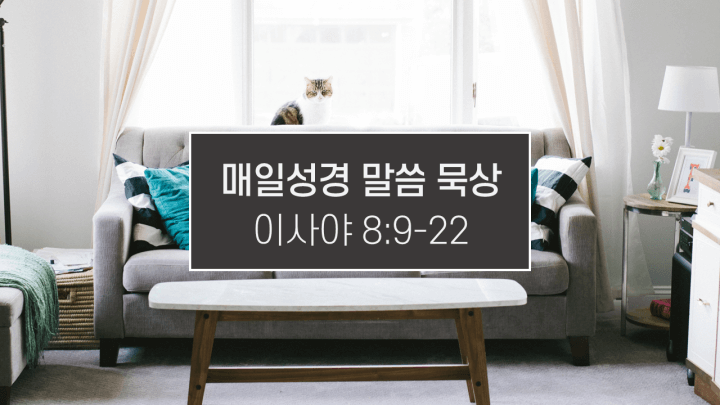 썸네일-아늑한-방-안의-소파