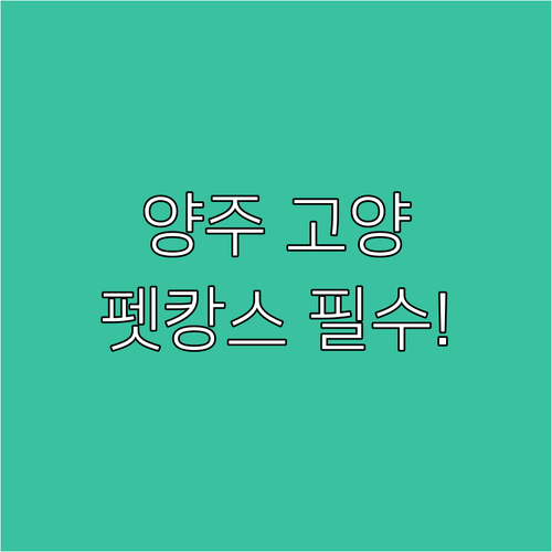 서울 근교 양주 고양 숙소 추천 반려..
