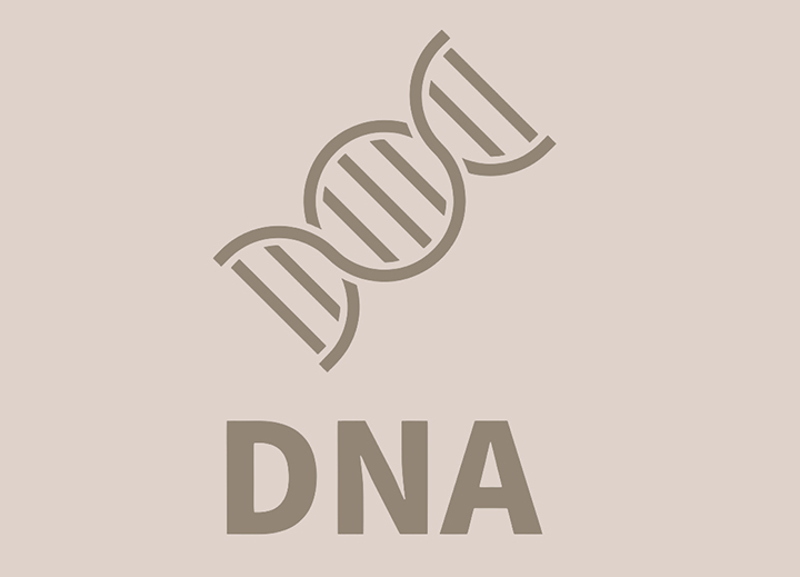 DNA-구조-모습