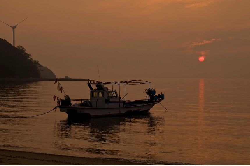쭈꾸미 여행지 관련사진