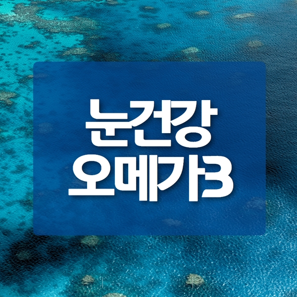 눈건강 오메가3