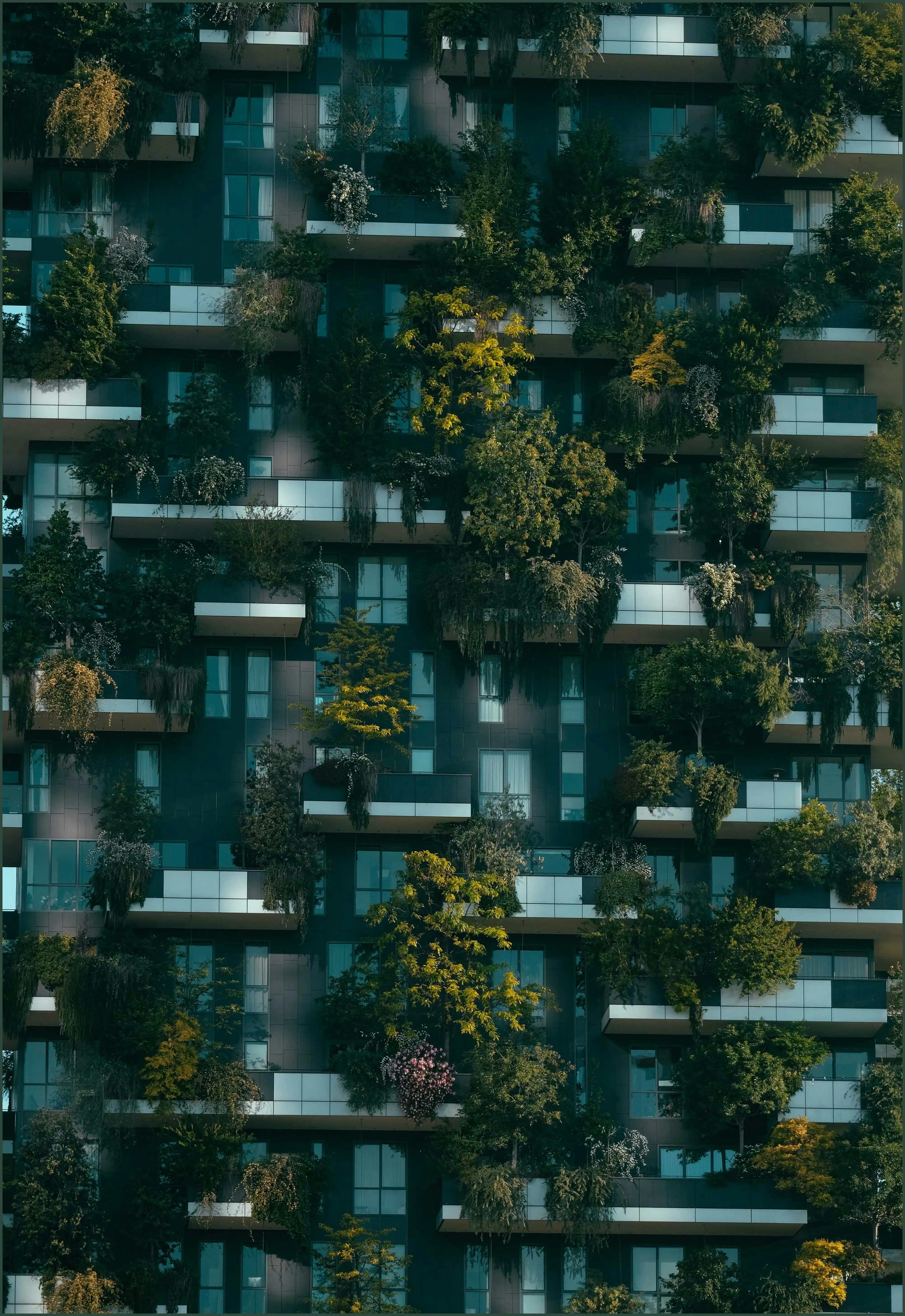 아파트 실거래가 조회 방법 시세 (앱 사이트 국토교통부 국토부 kb)