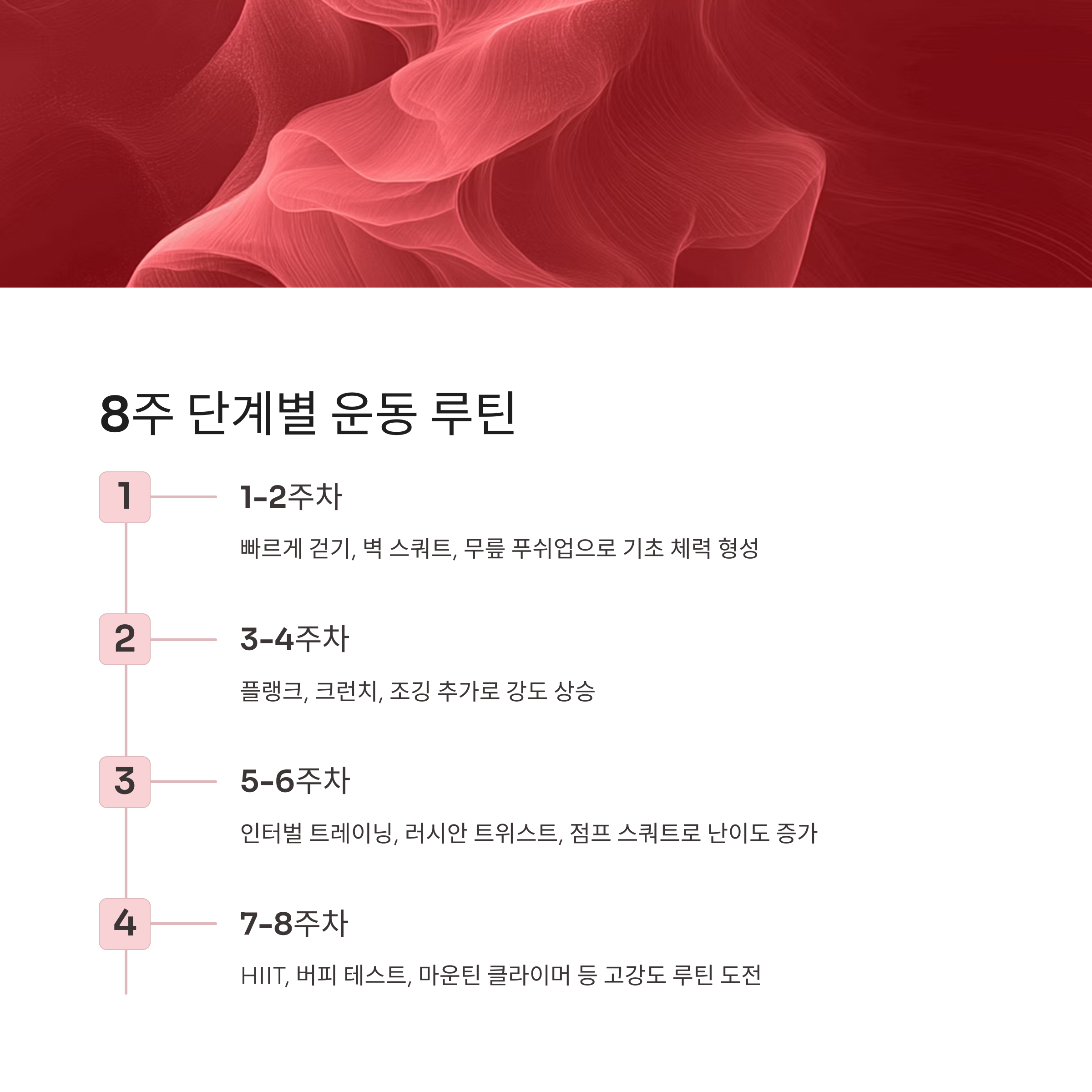 8주 단계별 운동 루틴