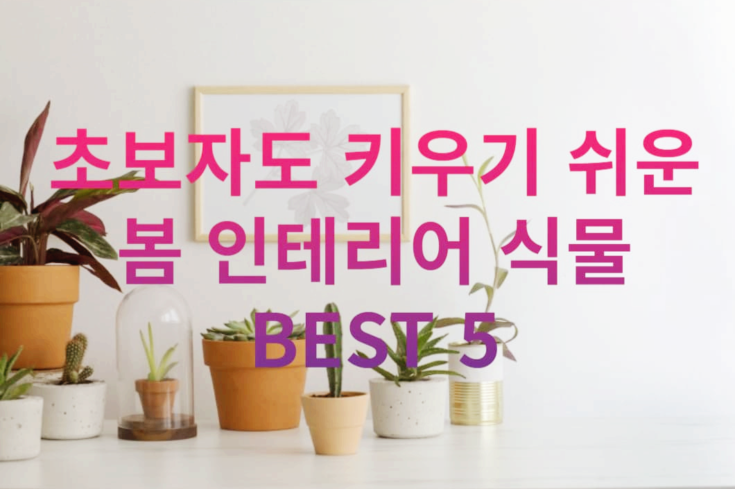 봄 인테리어 식물