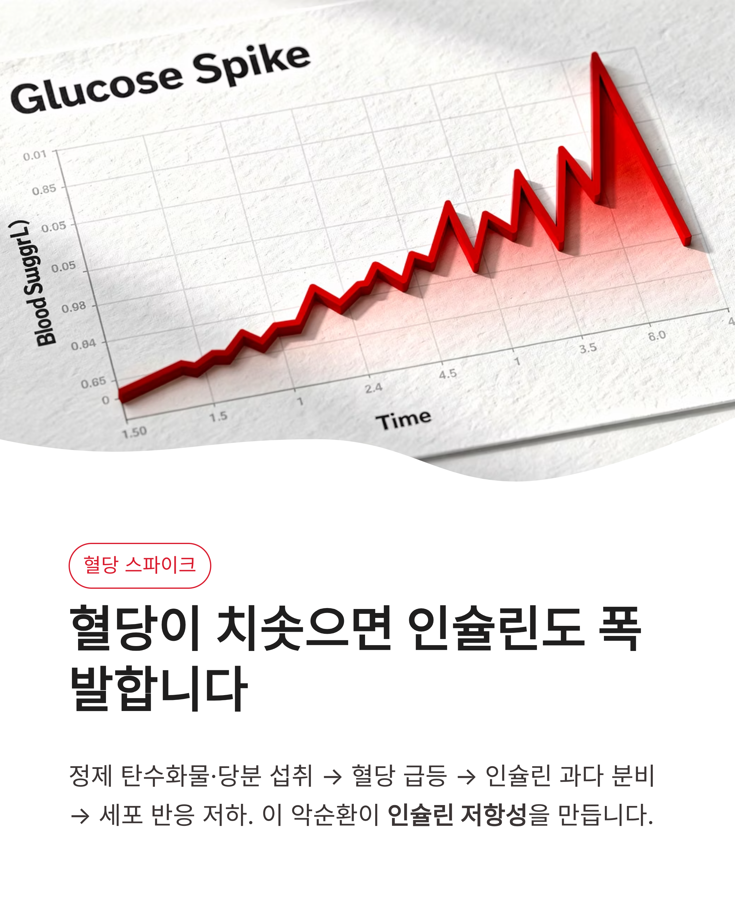 인슐린 저항성과 다이어트와의 관계, 뱃살이 안 빠지는 진짜 이유와 해결법 총정리!