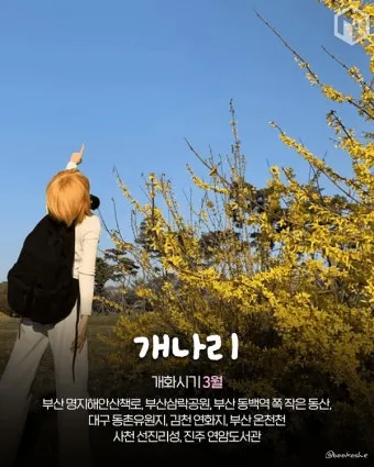 경상도 봄여행 가볼만한곳 베스트 10 완벽 여행 가이드_12