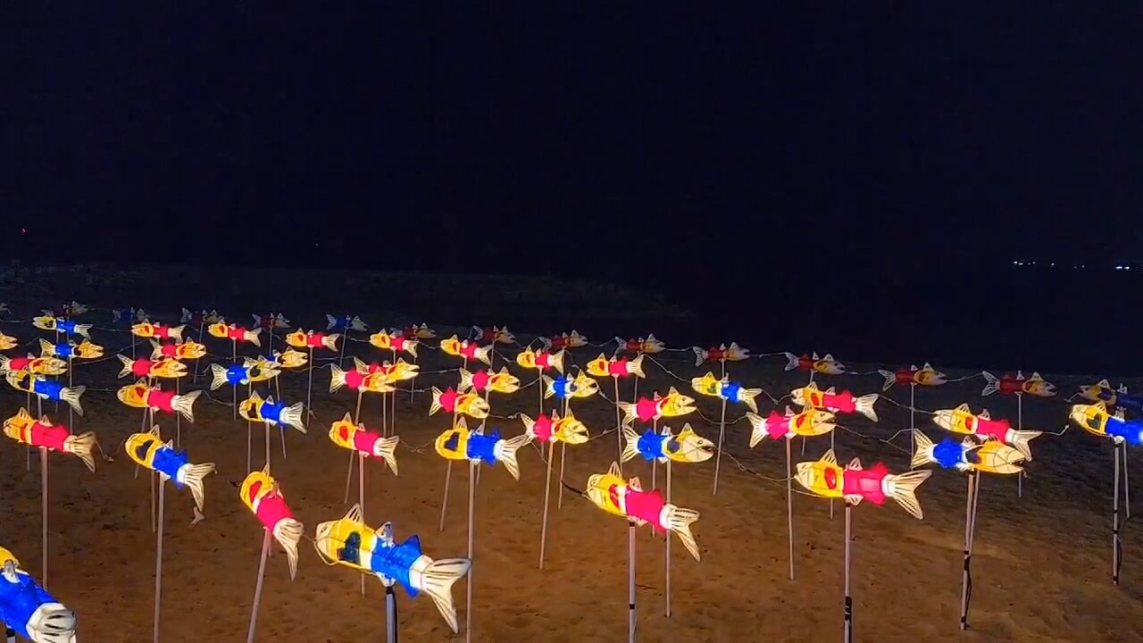 강원도 고성 거진 해변 11리 고성통일명태축제