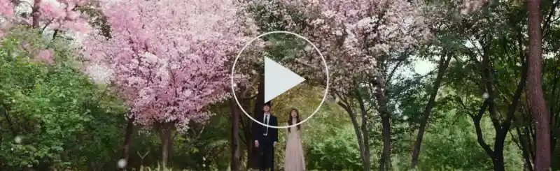 벚꽃과 우거진 숲속에 서하와 반지음이 나란히 서있는 이번 생도 잘 부탁해 3회 장면