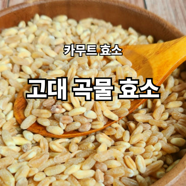 고대 곡물의 힘, 카무트 효소란? 효능 및 부작용 보기