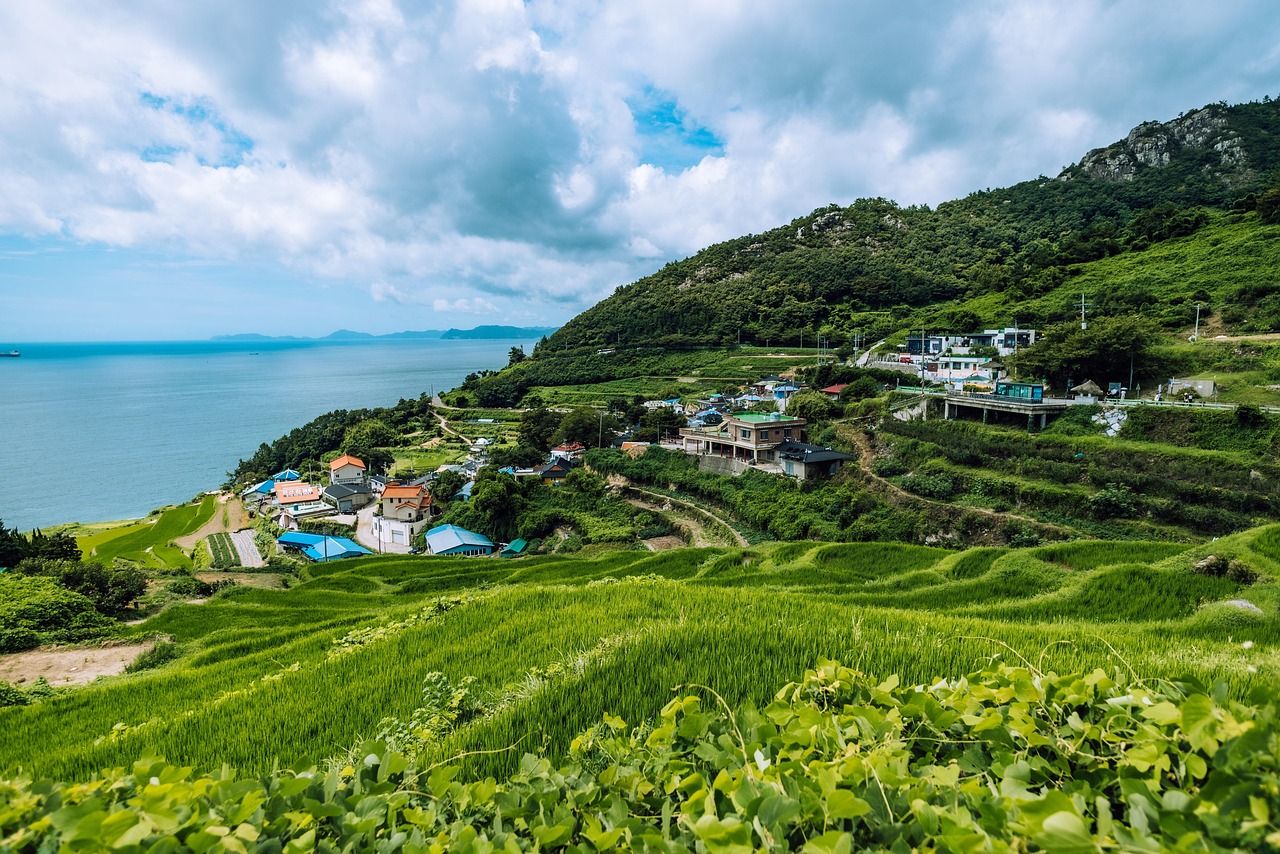 다랭이 마을 관련 사진