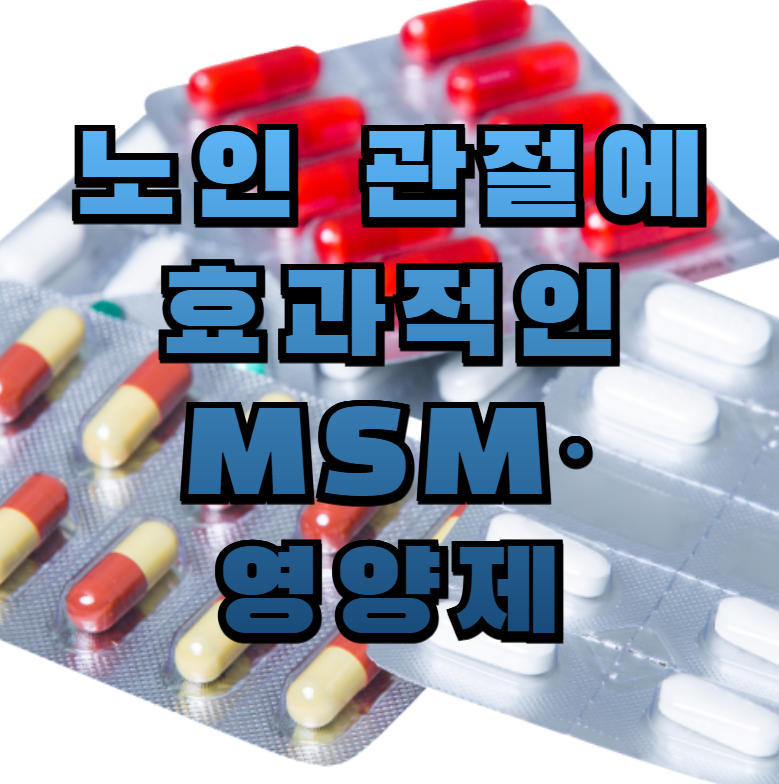 MSM, 관절영양제, 노인관절건강, 글루코사민, 콘드로이틴, 관절통증완화, 복합영양제, 관절연골보호, 실버케어, 복약체크리스트