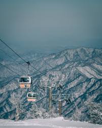 덕유산 곤도라 요금 및 예약
