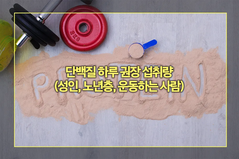 단백질 하루 섭취량