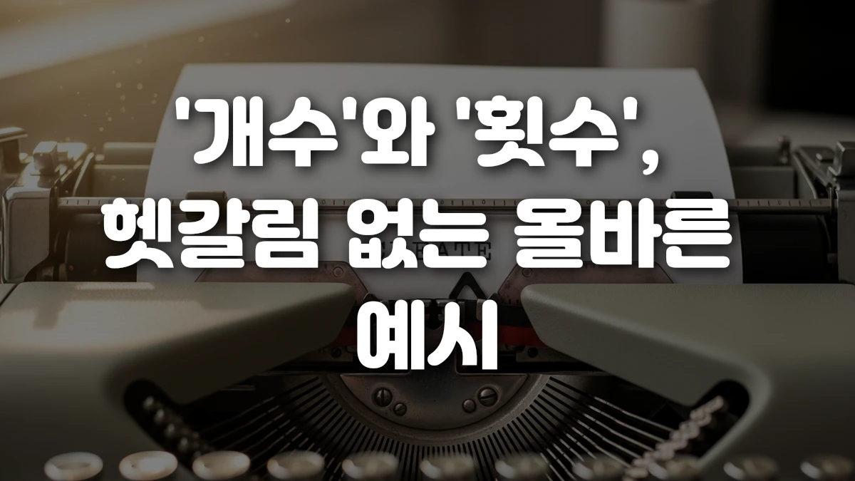 개수 와 횟수 헷갈림 없는 올바른 예시