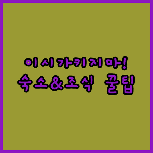 이시가키지마 숙소 추천 TOP 4 미..