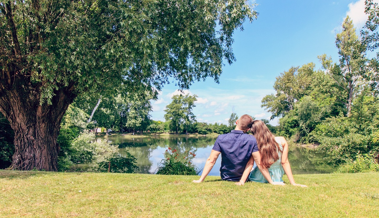 피크닉 관련 사진