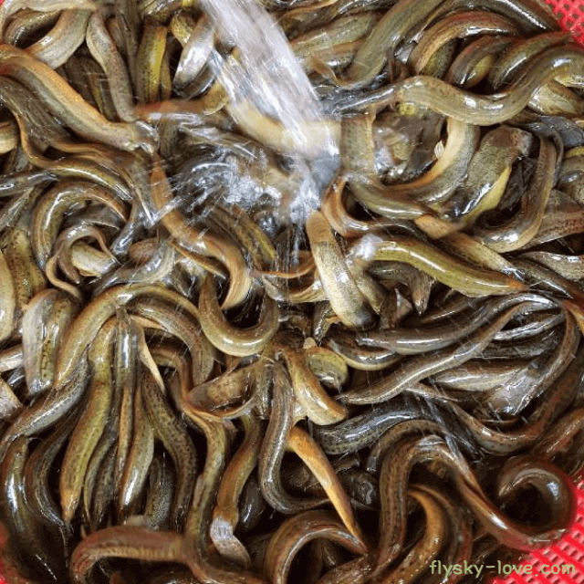 가을 보양식 추어탕