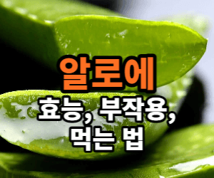 알로에