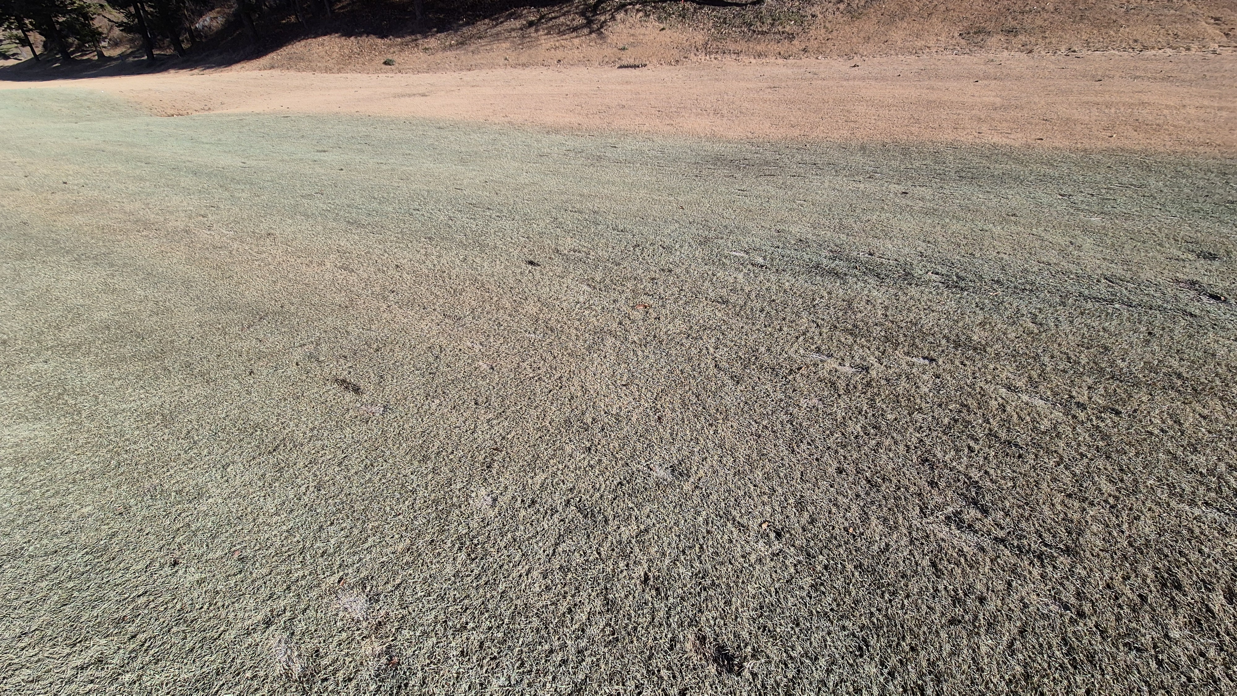 로제비앙gc 로제-비앙 코스 관리 상태