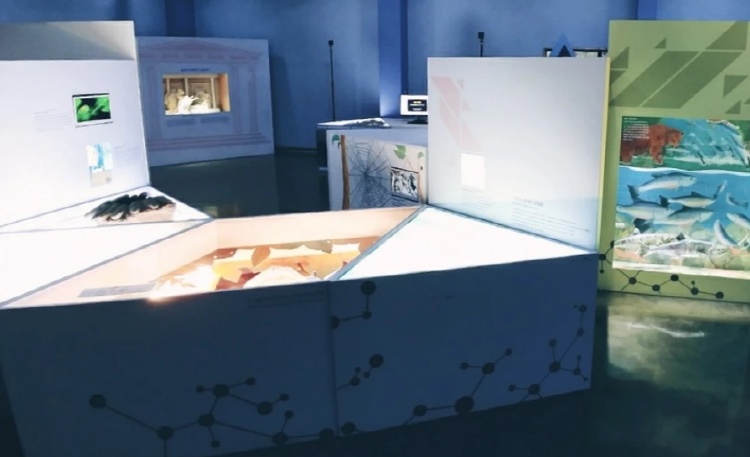 우석헌 자연사 박물관