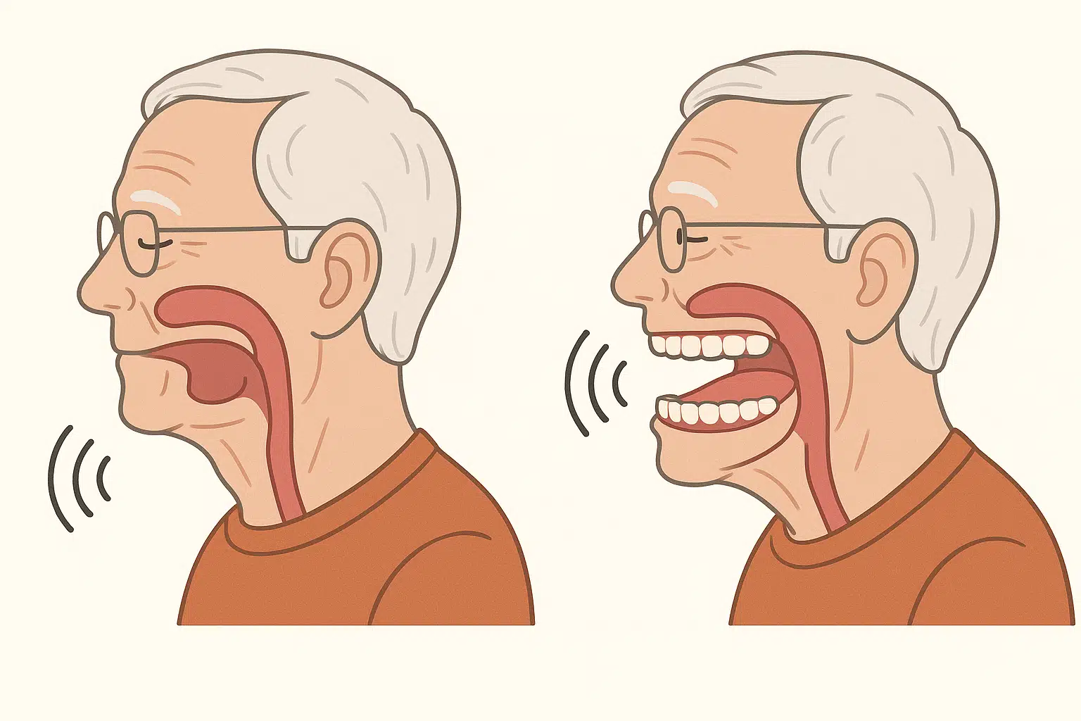 노인의 구강 구조와 씹는 동작을 비교, 입을 다문 상태와 벌린 상태에서의 소리 차이