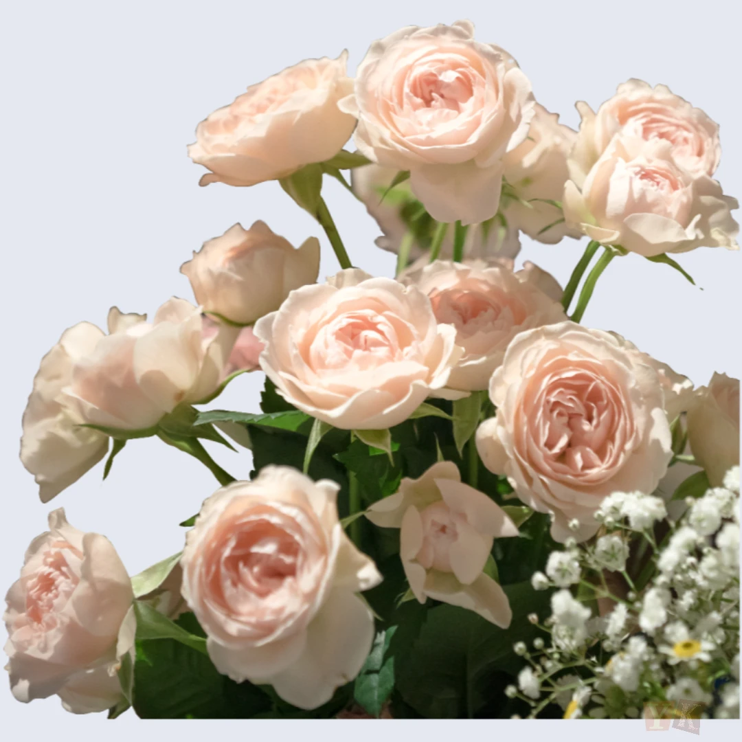 4월 인사말 모음, 직장부터 가족까지 센스있는 문자와 카드 문구